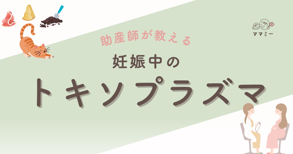 妊娠がわかると、「これ食べていいかな」「猫のトイレはどうしよう」と、ふと立ち止まる瞬間が増えますよね。 トキソプラズマの話も、そのひとつ。 この記事では、トキソプラズマの基礎と感染リスク、日常の対策について説明します。